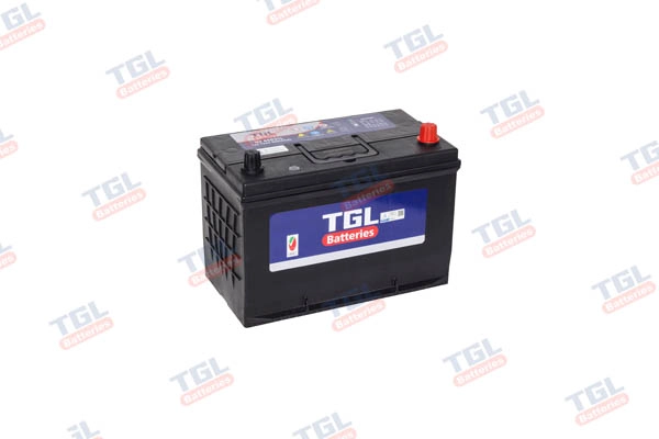 TIGRIL TGN65D31L