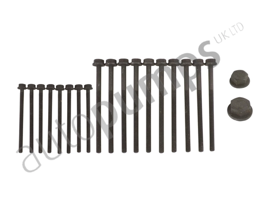 LR004369(x10)