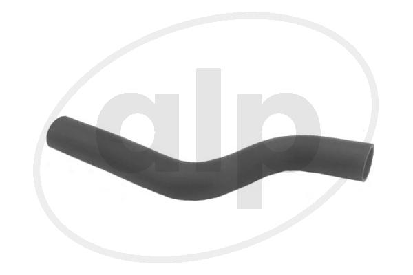 ALP-003538
