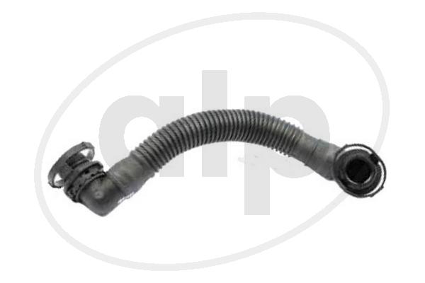 ALP-005689