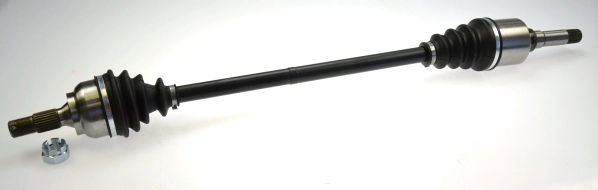304591