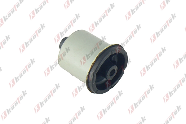 FI-BS036