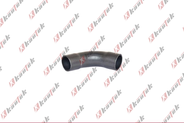 BM-TH019