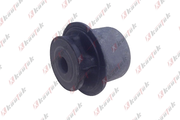 FD-BS173