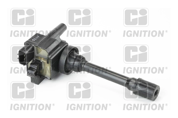 XIC8381