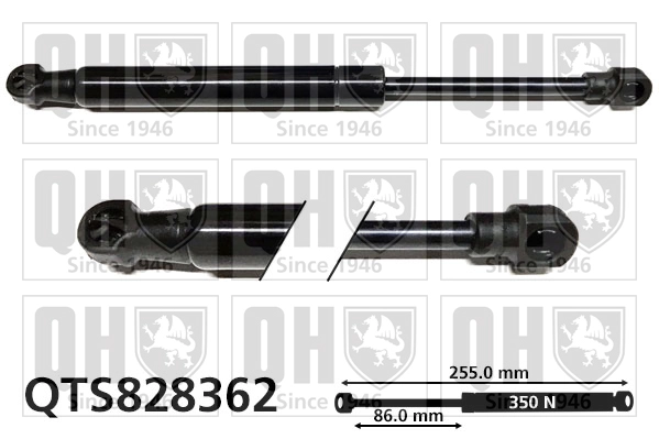 QTS828362