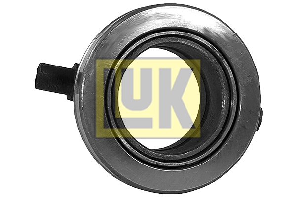 50013031
