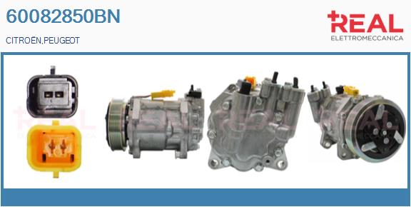 00006453WV