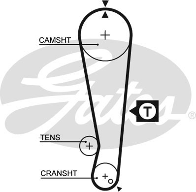 T078