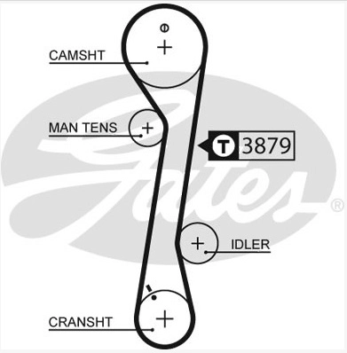 T719