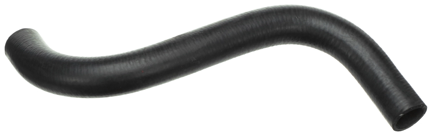 A1155010782