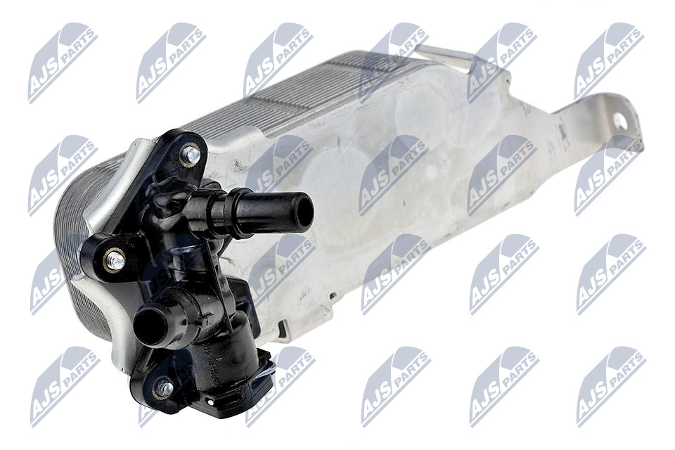 CCL-BM-011