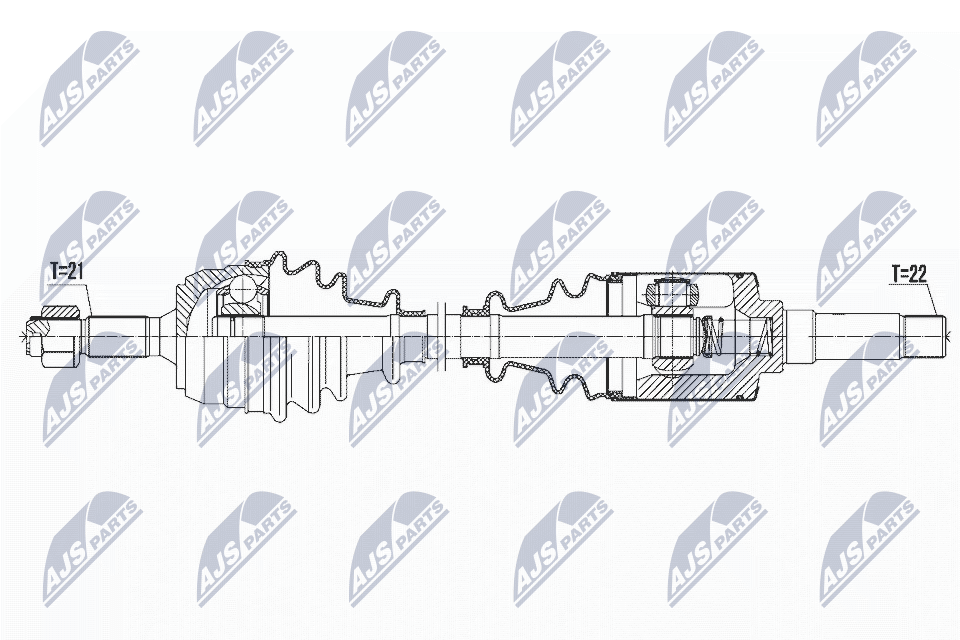 NPW-CT-067