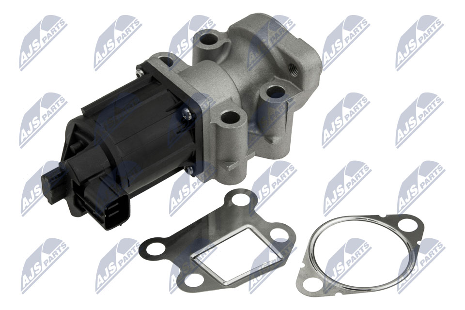 EGR-MS-007