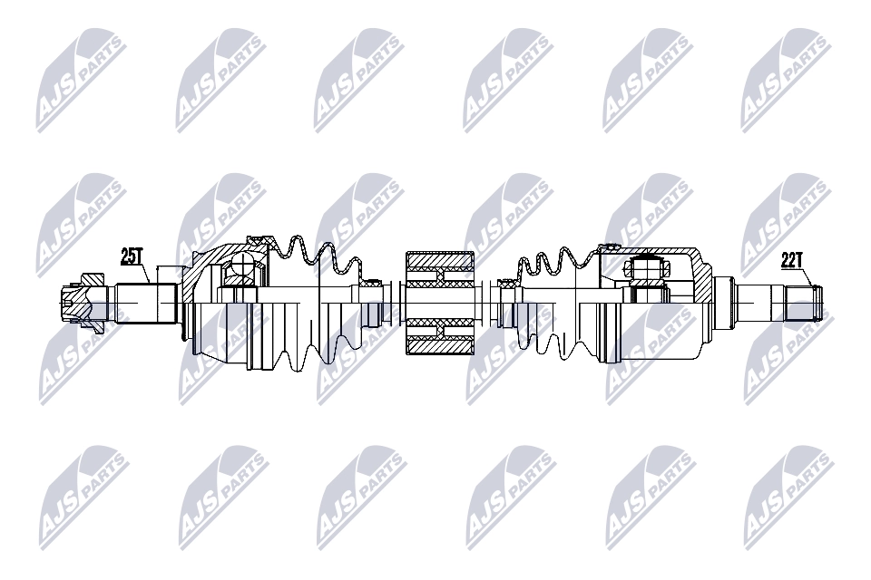 NPW-FT-081