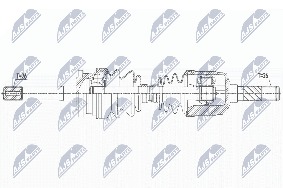 NPW-MZ-066