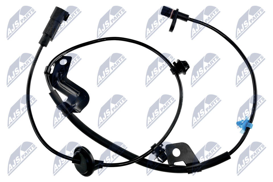 HCA-MS-021