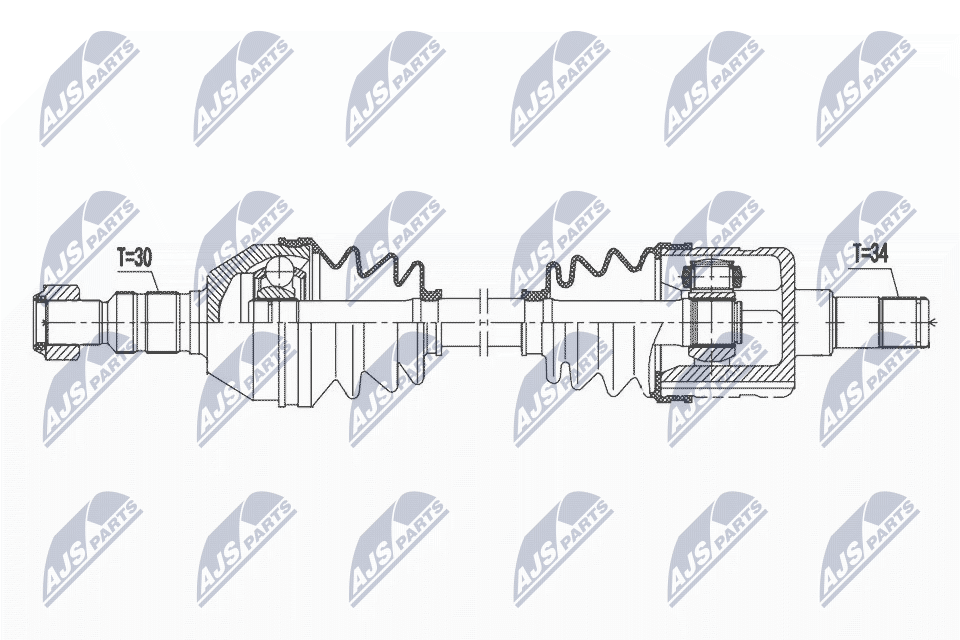NPW-PL-113