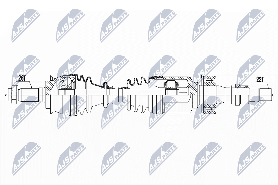 NPW-BM-121