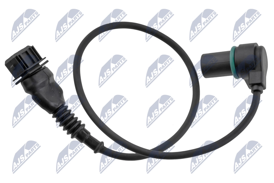 ECP-BM-015