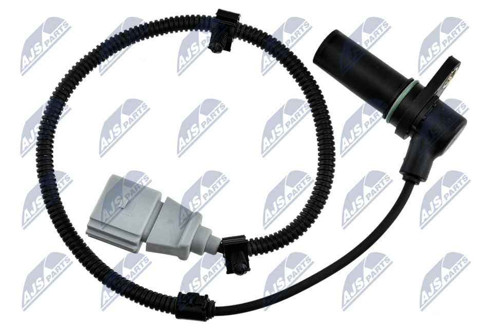 ECP-AU-013