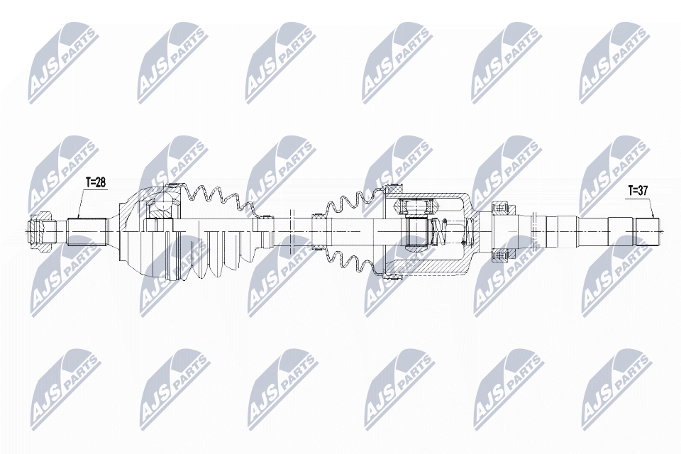 NPW-CT-061