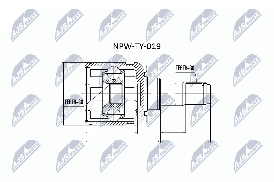 NPW-TY-019