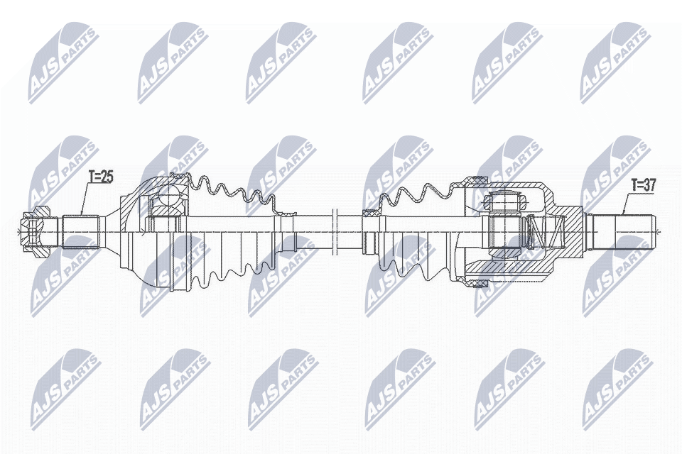 NPW-CT-101