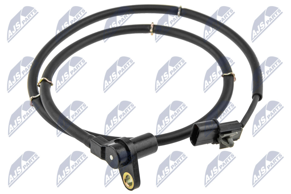 HCA-MS-088