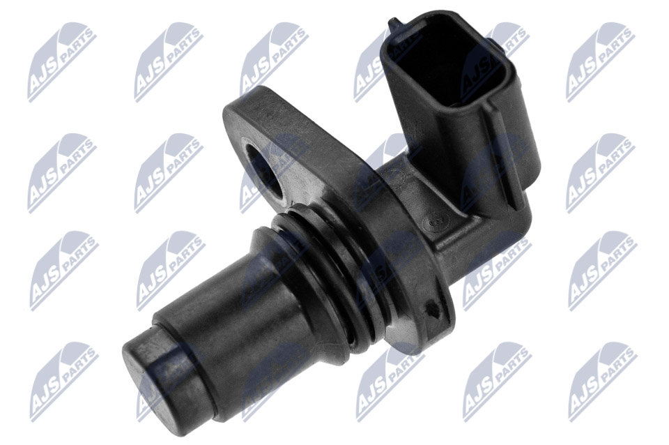 ECP-NS-024