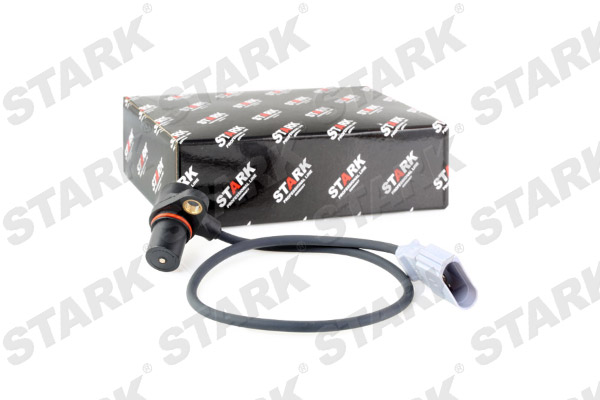 SKCPS-0360081