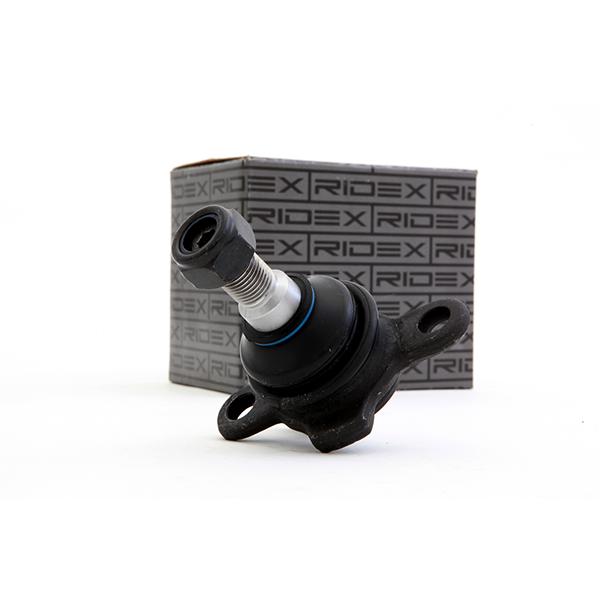 2462S0019