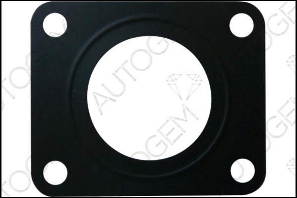 CEG6480