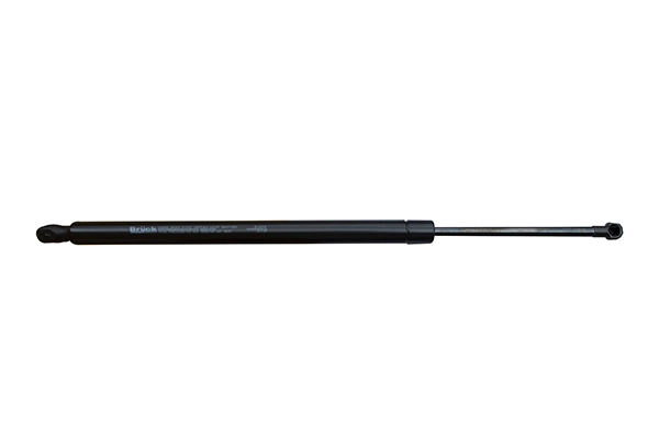 689500R010