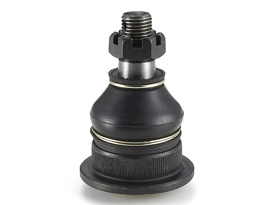 MB527157