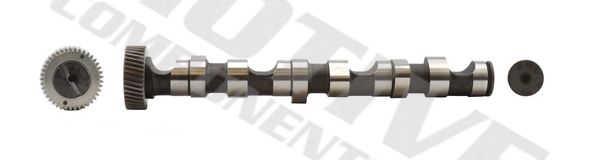 T063