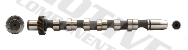 T061