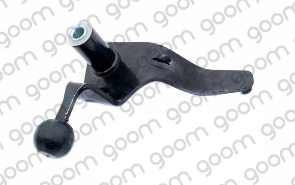 SSR-0013