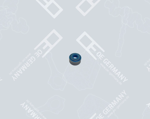 20459855
