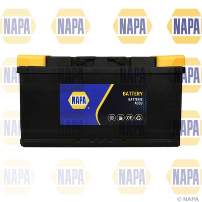 NAPA 018N