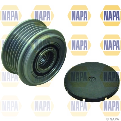 NOP1126
