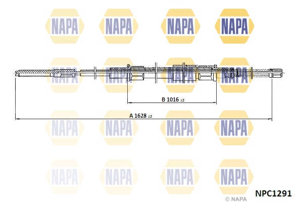 NPC1291