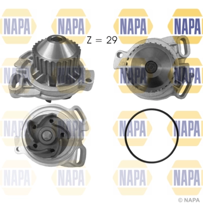 NWP1008