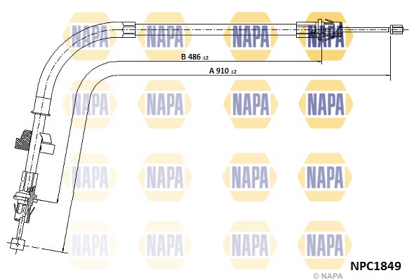 NPC1849