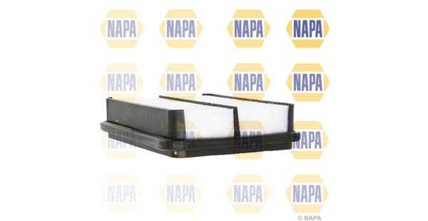 NFA1009