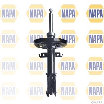 NSA1587