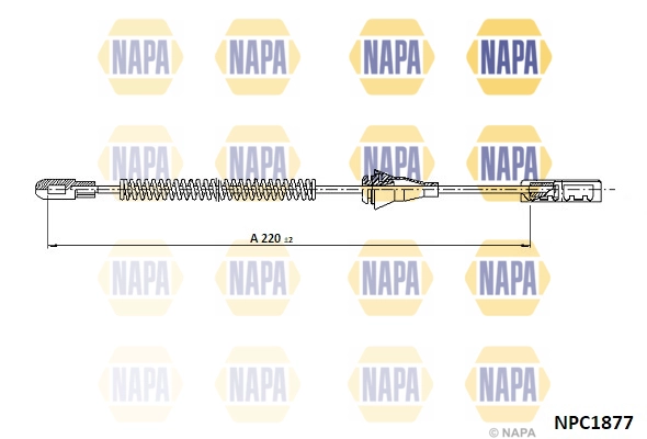 NPC1877