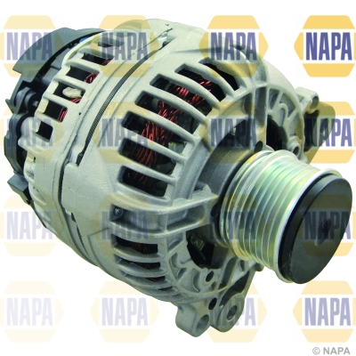 NAL1123