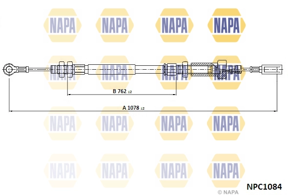 NPC1084