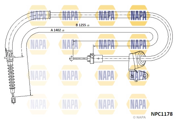 NPC1178